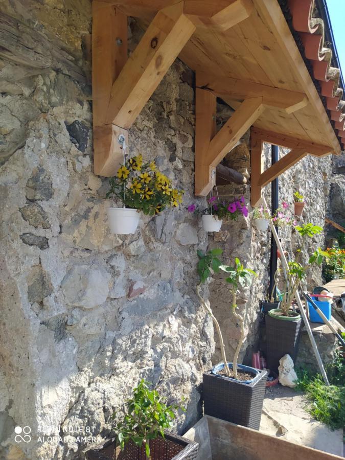 Bed and Breakfast Massia Gasset Senterada Zewnętrze zdjęcie