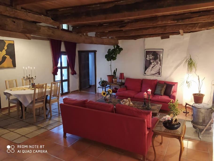 Bed and Breakfast Massia Gasset Senterada Zewnętrze zdjęcie